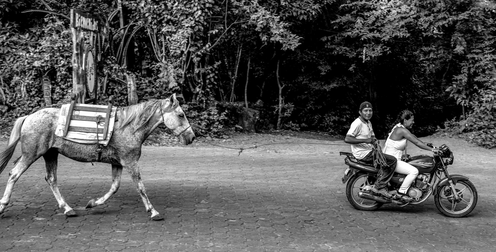 Black-and-white photo of a saddled horse walking along a road while two people ride a motorcycle beside it, with trees in the background.