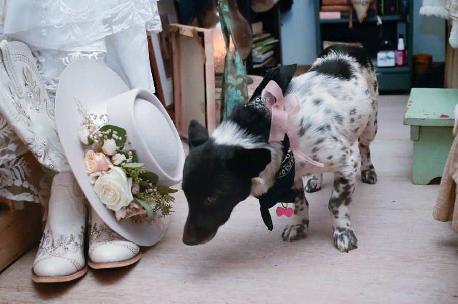 A wedding-day detail